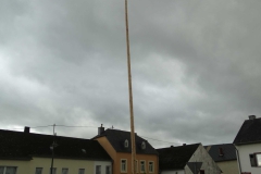 Maibaum 2018